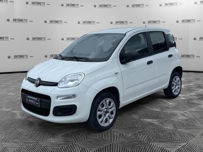 Fiat Panda 0.9 TwinAir Turbo Natural Power Easy del 2018 usata a Jesi