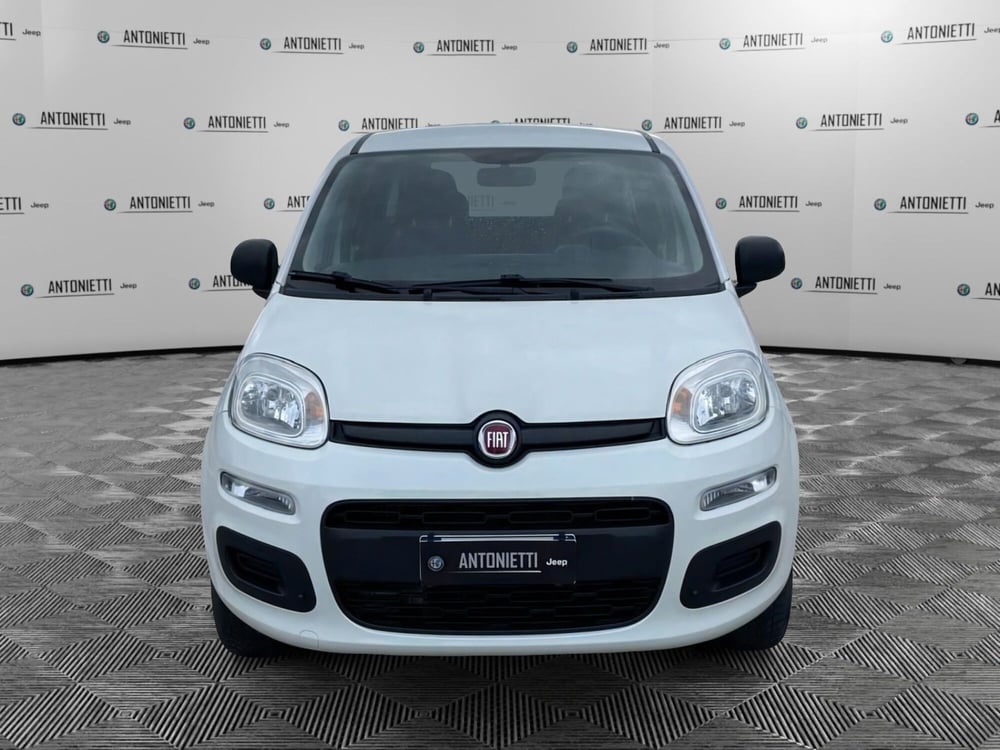 Fiat Panda usata a Ancona (2)