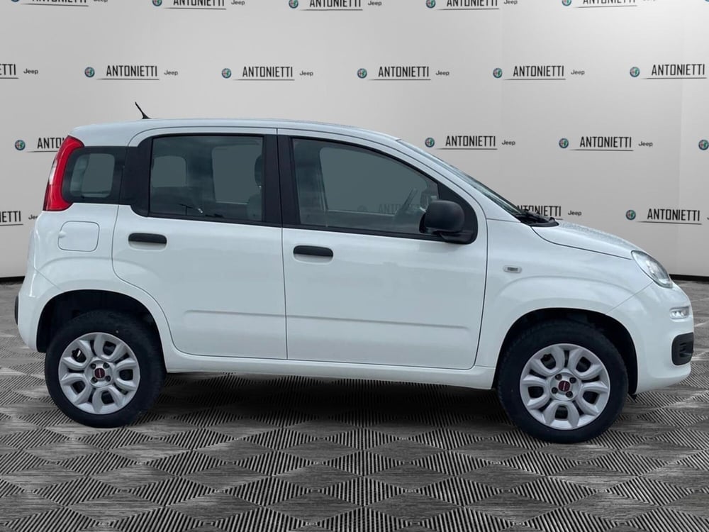 Fiat Panda usata a Ancona (4)