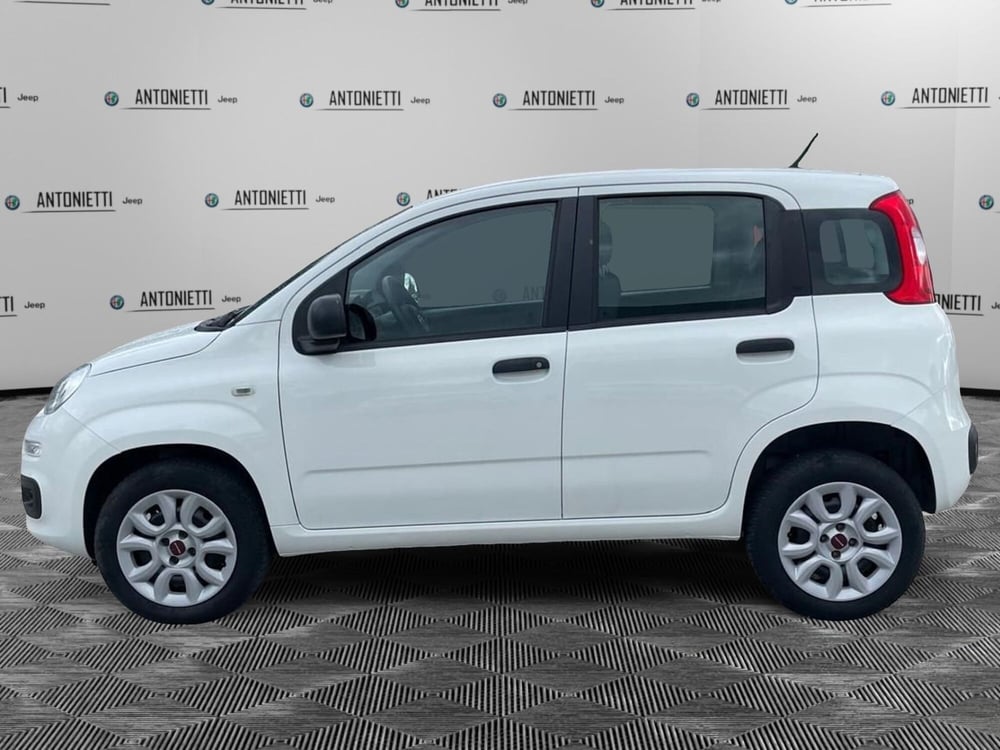Fiat Panda usata a Ancona (7)