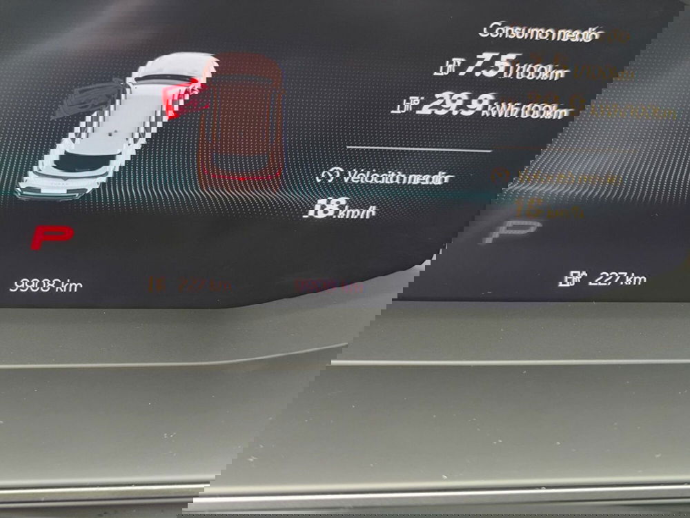 Cupra Formentor usata a Udine (14)