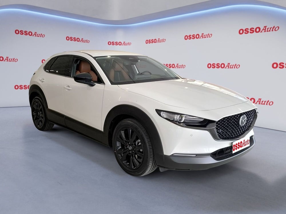 Mazda CX-30 usata a Udine (2)