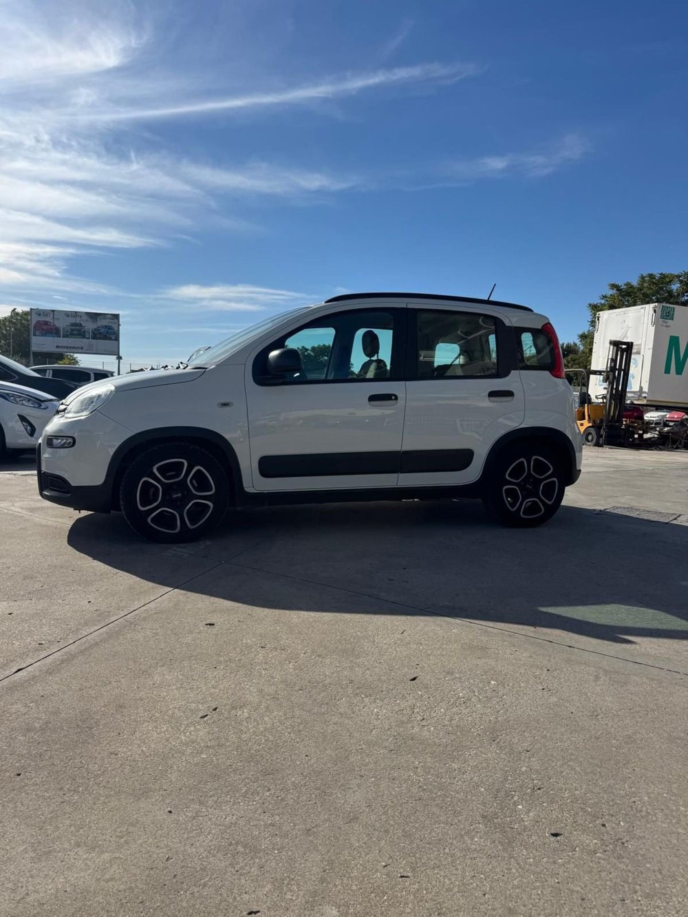 Fiat Panda Cross usata a Caserta (2)