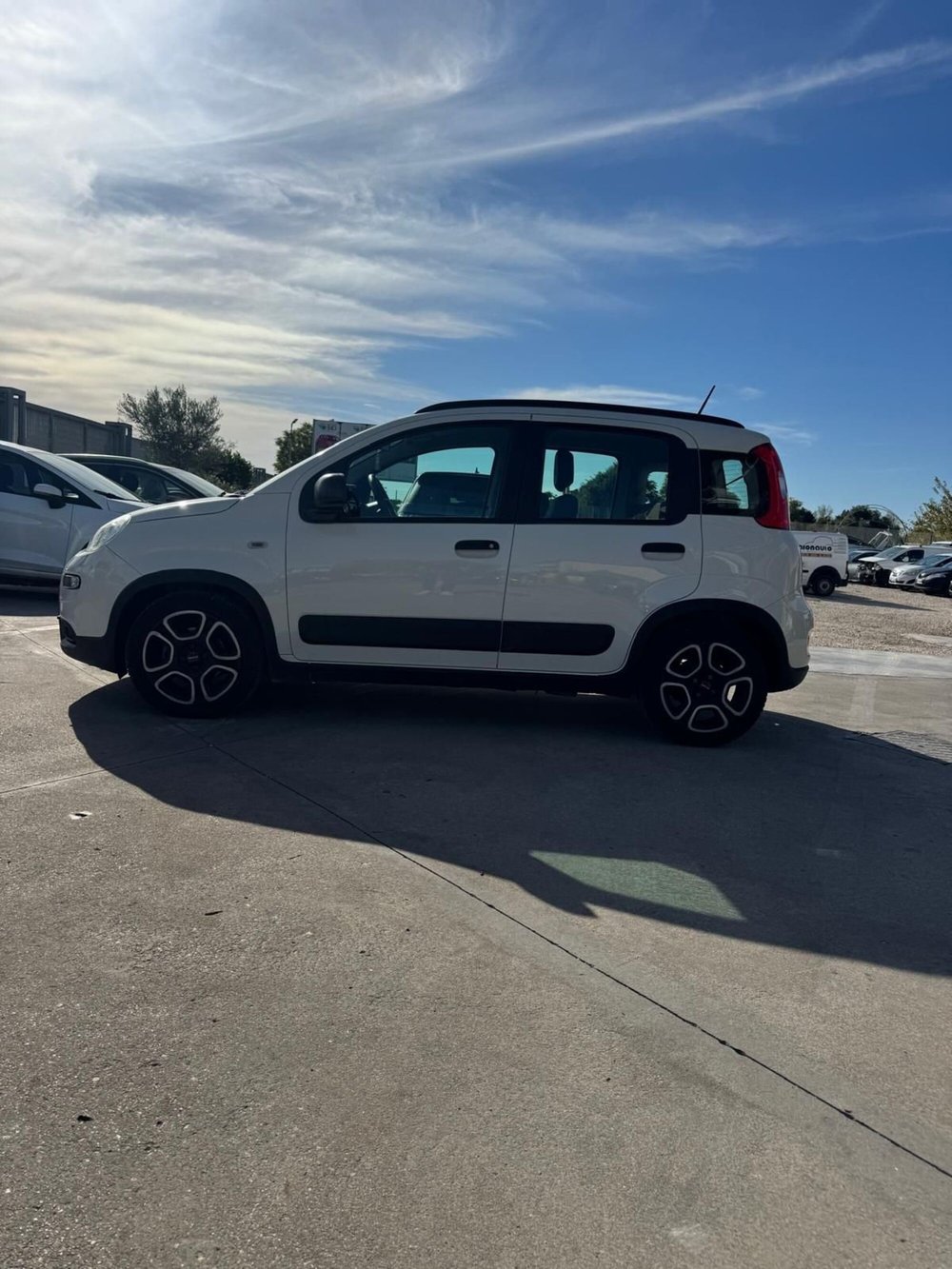 Fiat Panda Cross usata a Caserta (3)