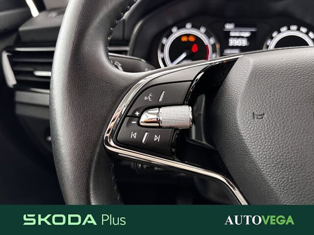 Skoda Kamiq usata a Vicenza (18)
