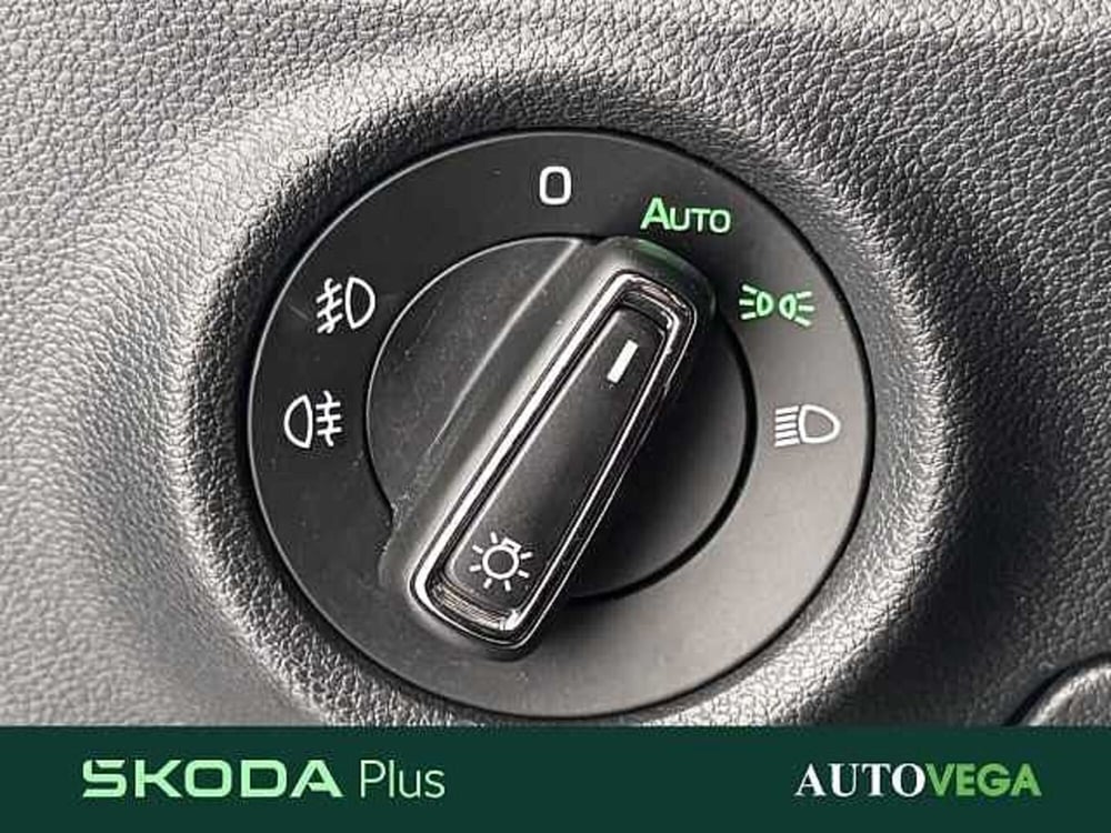 Skoda Kamiq usata a Vicenza (13)