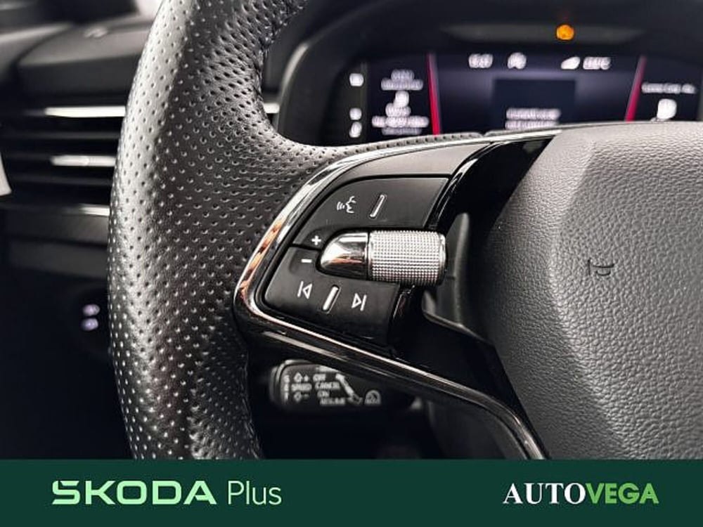 Skoda Kamiq usata a Vicenza (19)