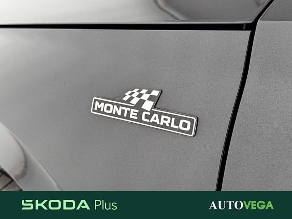Skoda Kamiq usata a Vicenza (7)