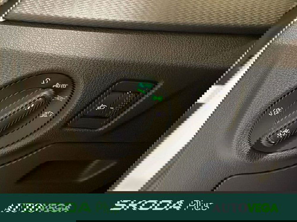 Skoda Kamiq usata a Vicenza (15)