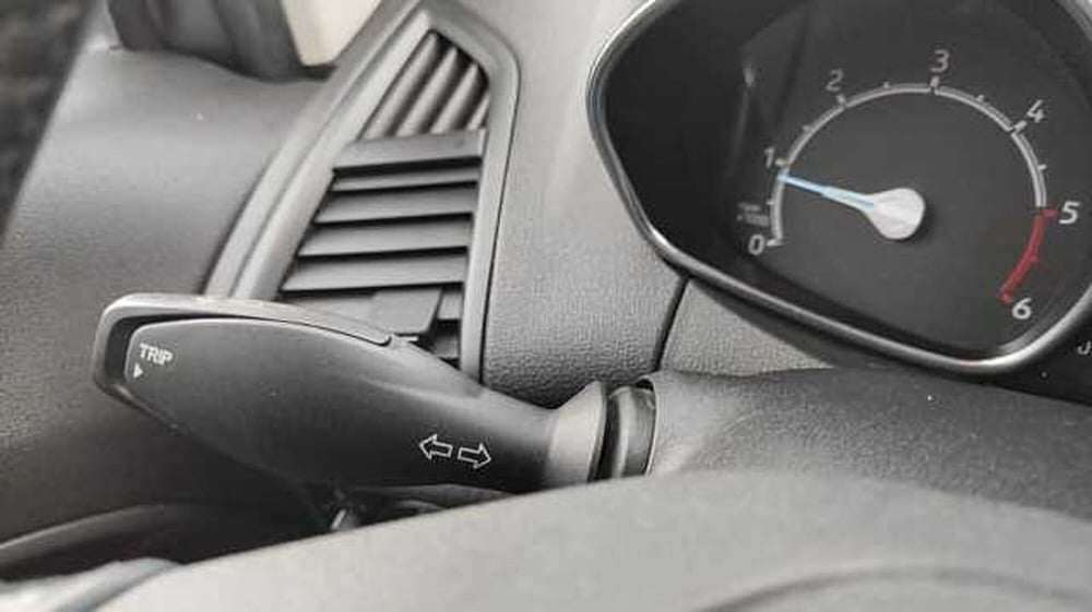 Ford EcoSport usata a Firenze (17)
