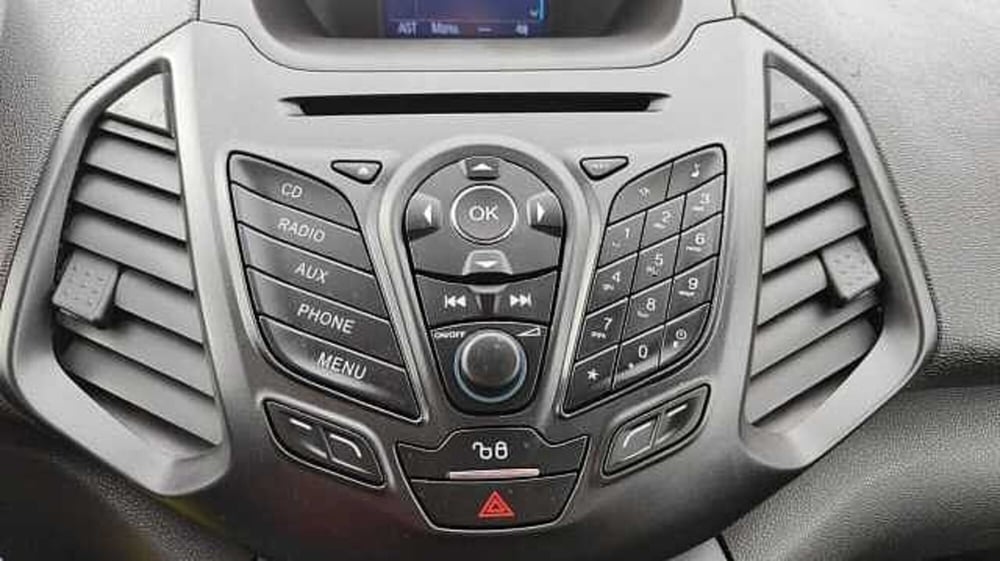 Ford EcoSport usata a Firenze (20)