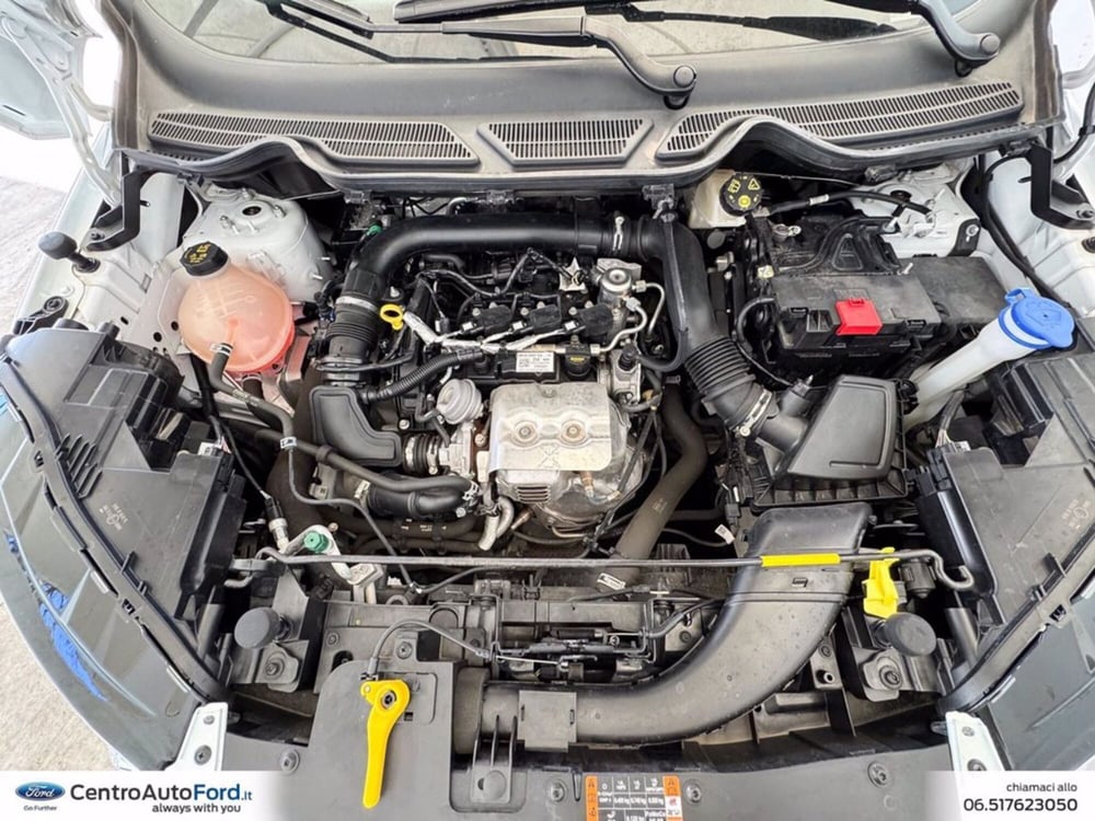 Ford EcoSport usata a Roma (12)