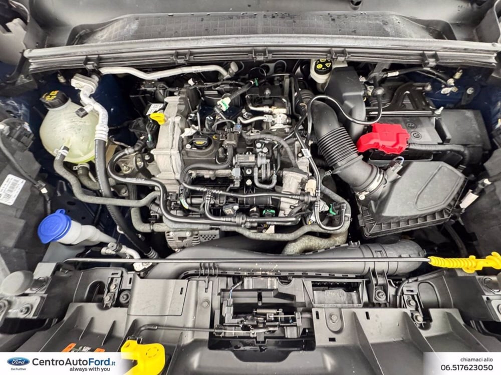 Ford Puma usata a Roma (12)