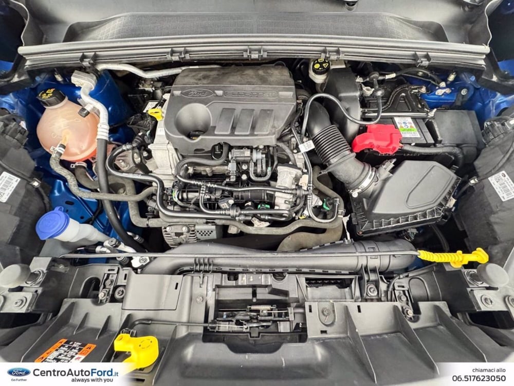 Ford Puma usata a Roma (11)