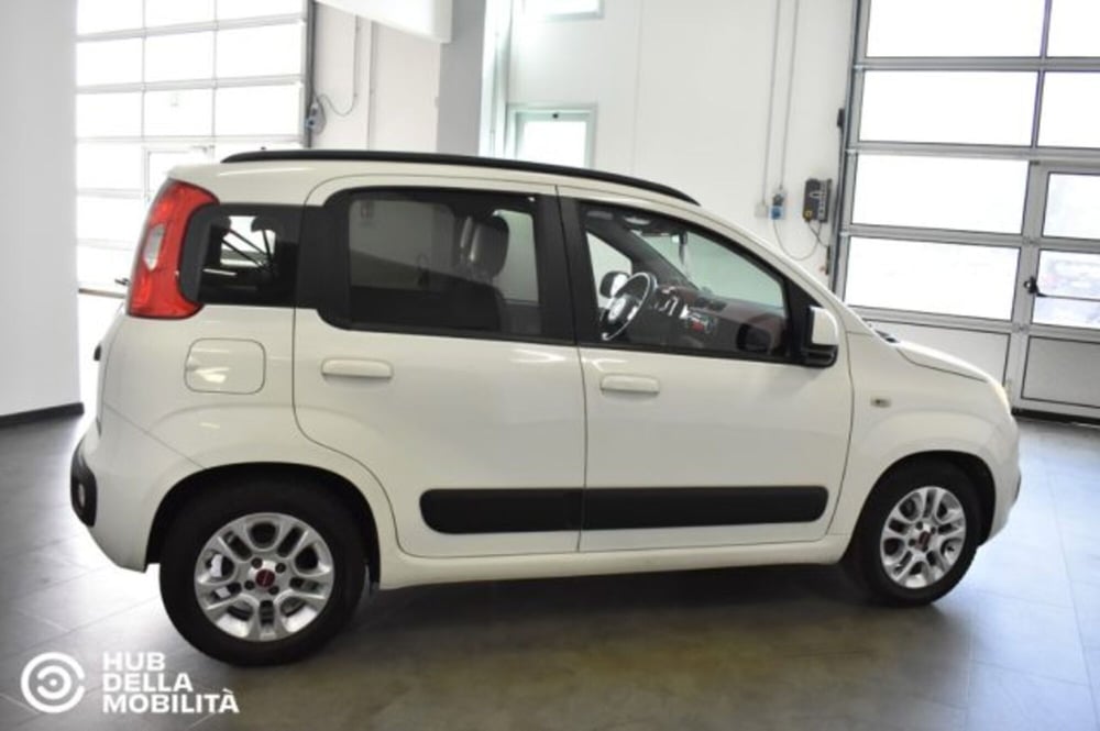Fiat Panda usata a Perugia (6)