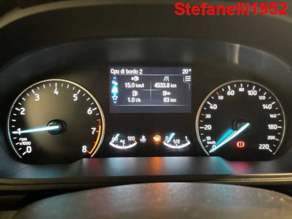 Ford EcoSport usata a Bologna (12)