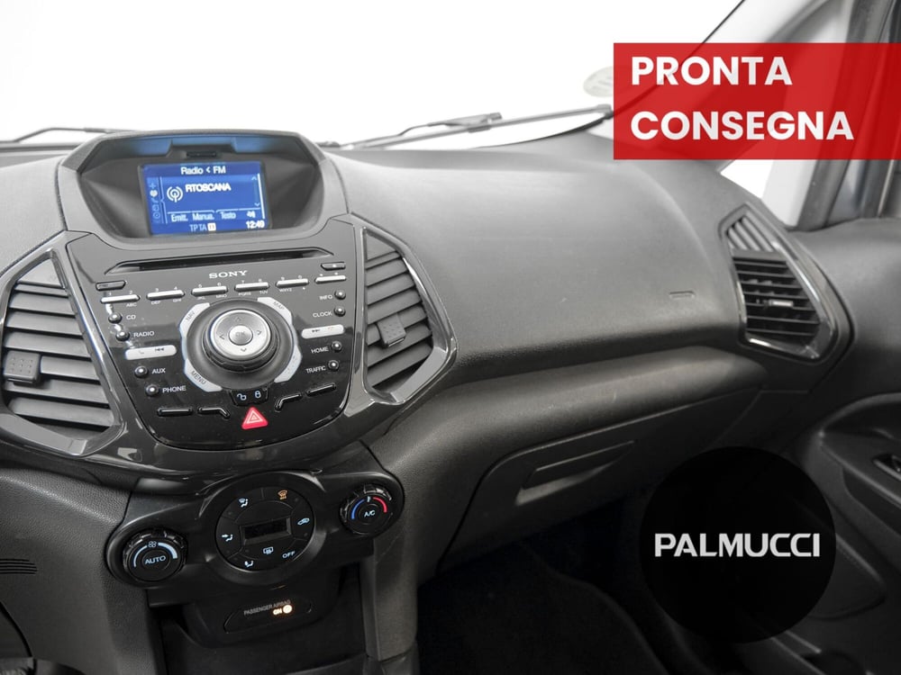 Ford EcoSport usata a Prato (11)