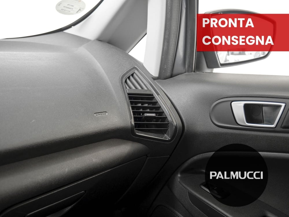 Ford EcoSport usata a Prato (15)