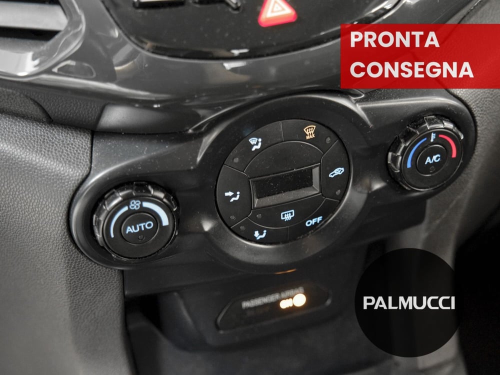 Ford EcoSport usata a Prato (5)