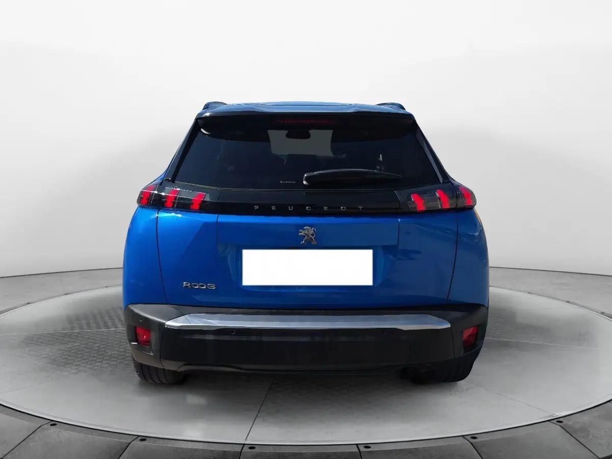 Peugeot 2008 usata a Firenze (4)