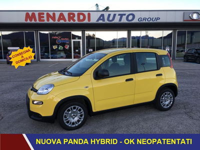 Fiat Panda 1.0 FireFly S&amp;S Hybrid nuova a Bernezzo