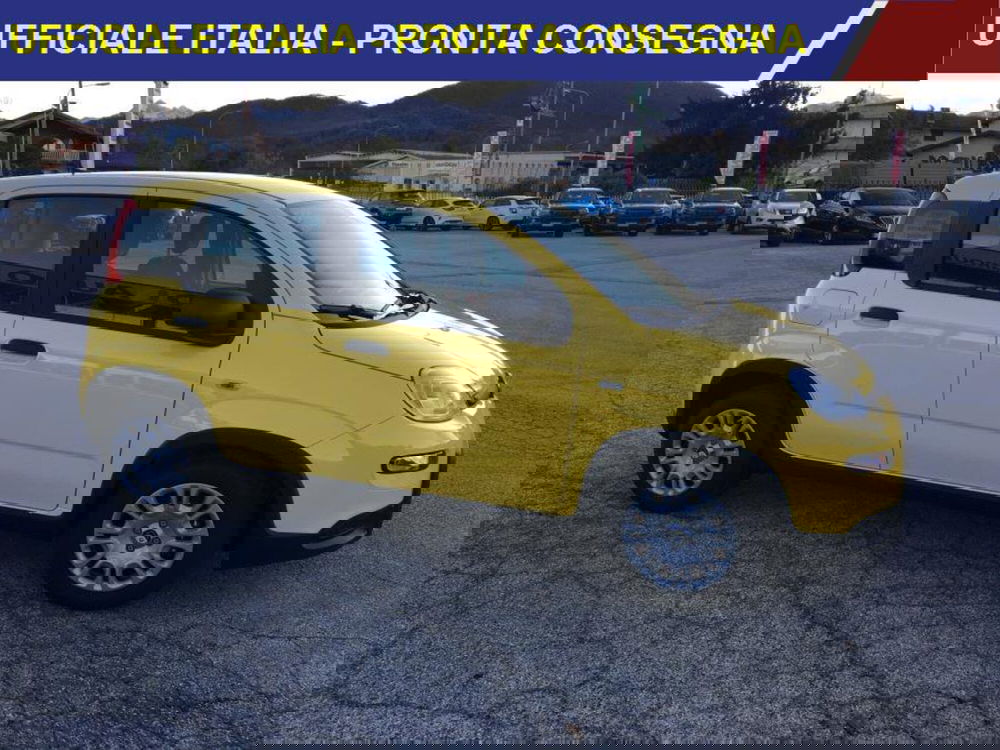 Fiat Panda nuova a Cuneo (2)