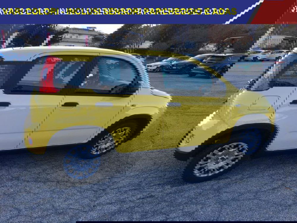 Fiat Panda nuova a Cuneo (3)