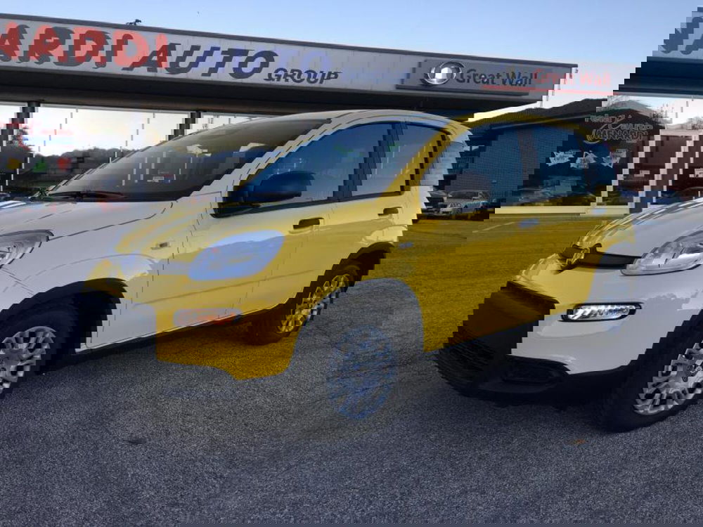 Fiat Panda nuova a Cuneo (4)