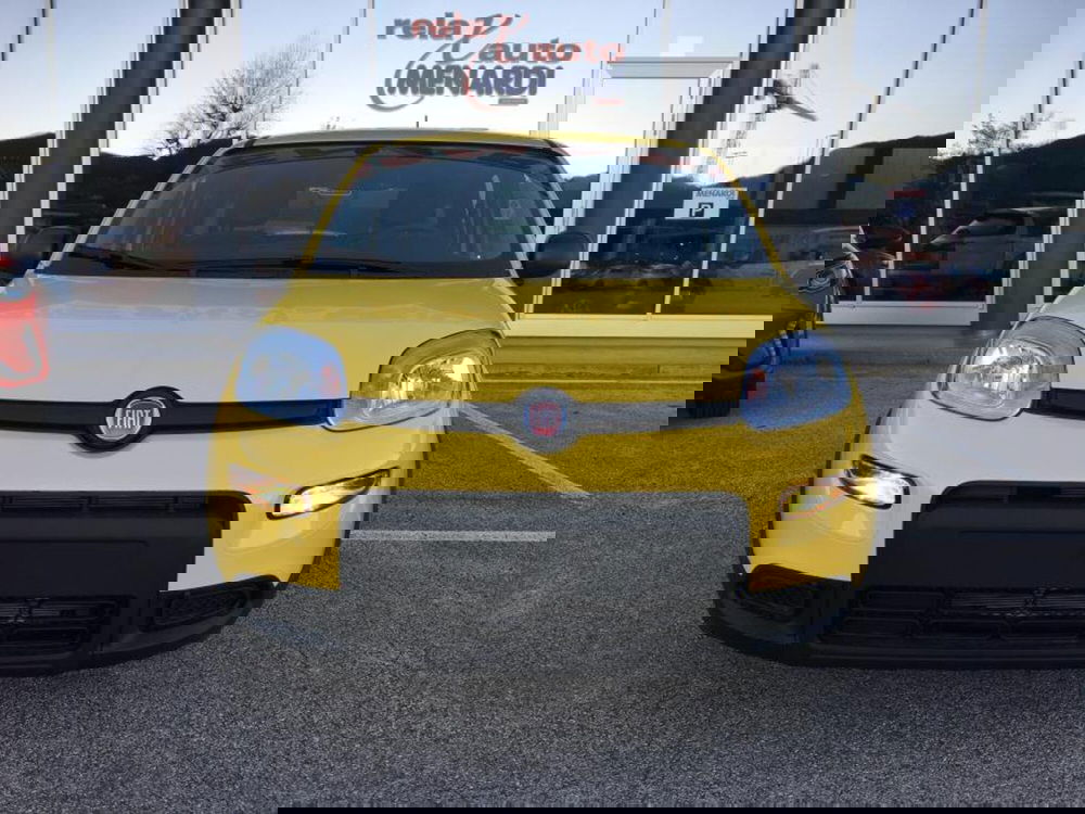 Fiat Panda nuova a Cuneo (6)