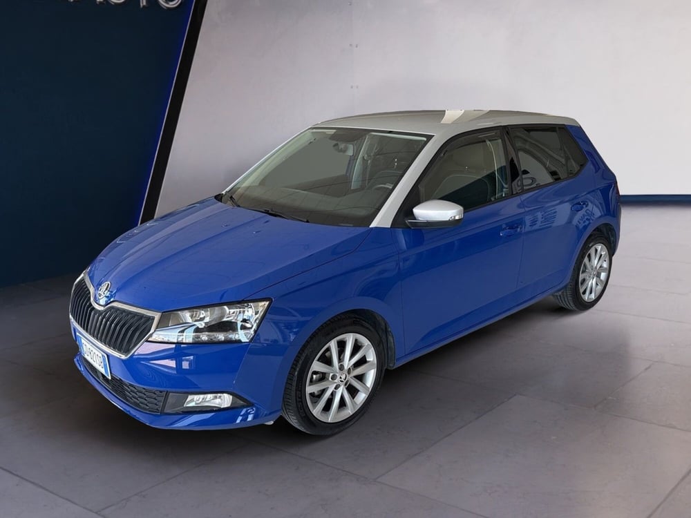 Skoda Fabia usata a Arezzo