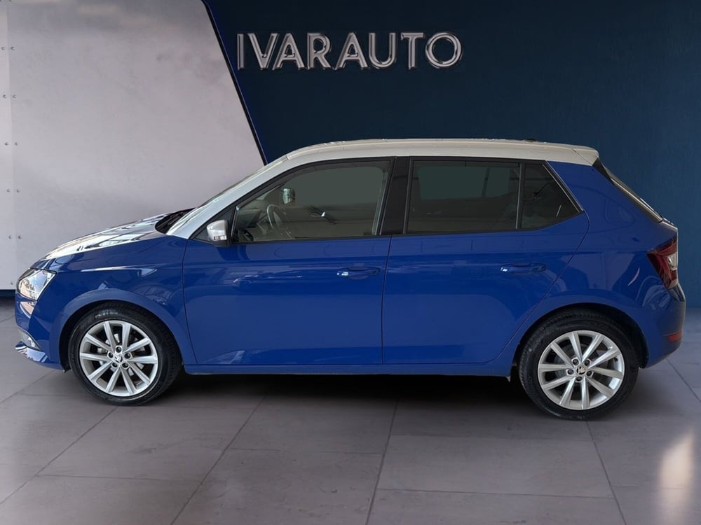 Skoda Fabia usata a Arezzo (2)