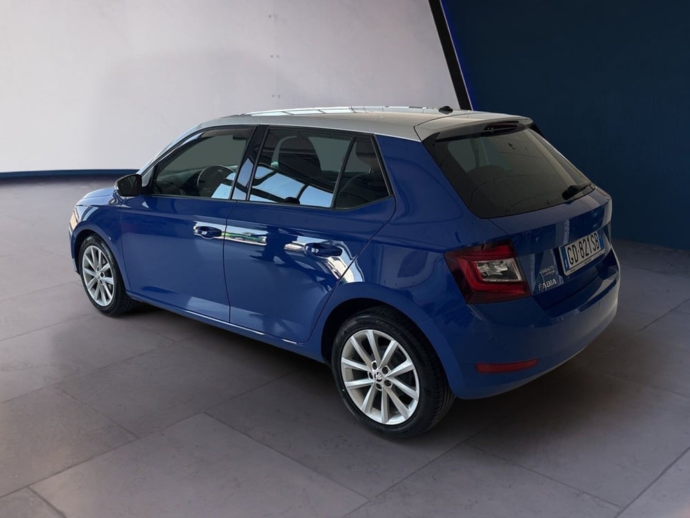 Skoda Fabia usata a Arezzo (3)