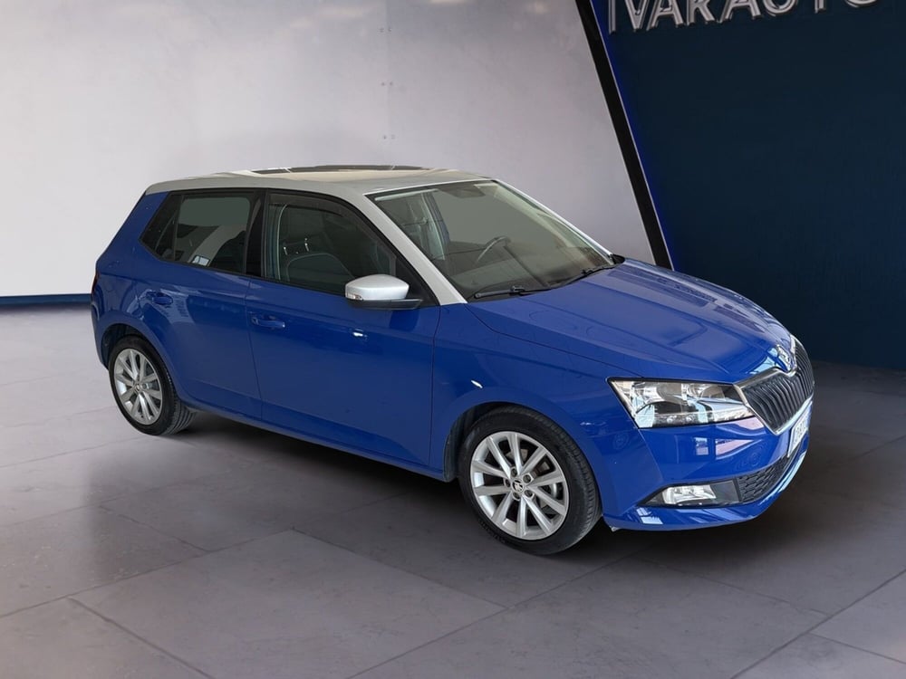 Skoda Fabia usata a Arezzo (8)