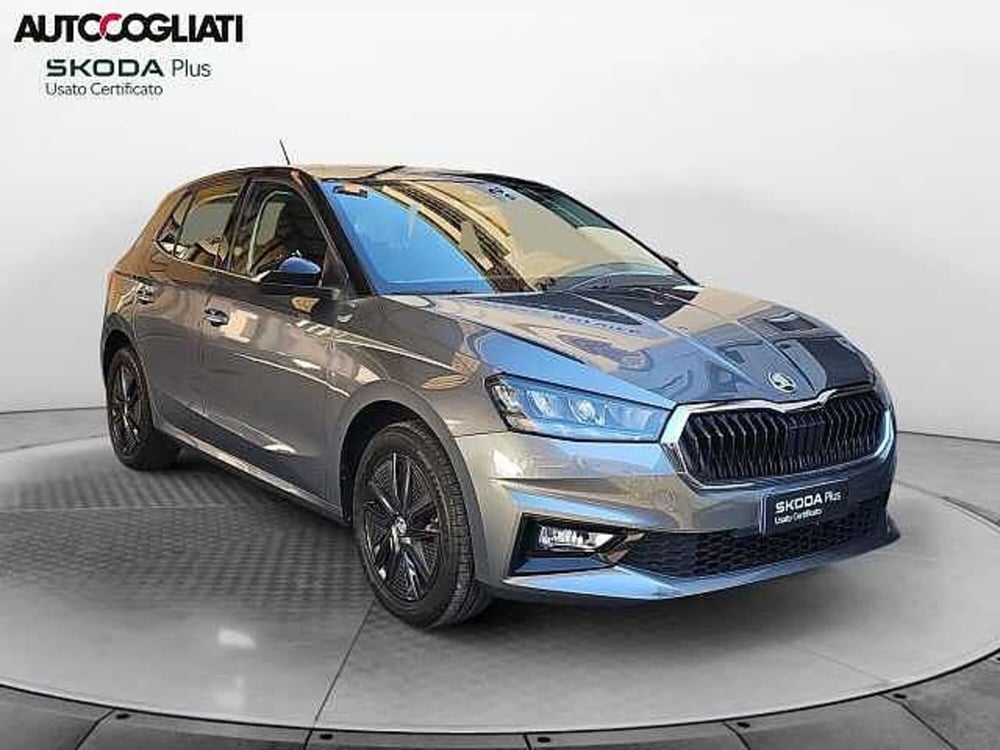 Skoda Fabia usata a Lecco (3)