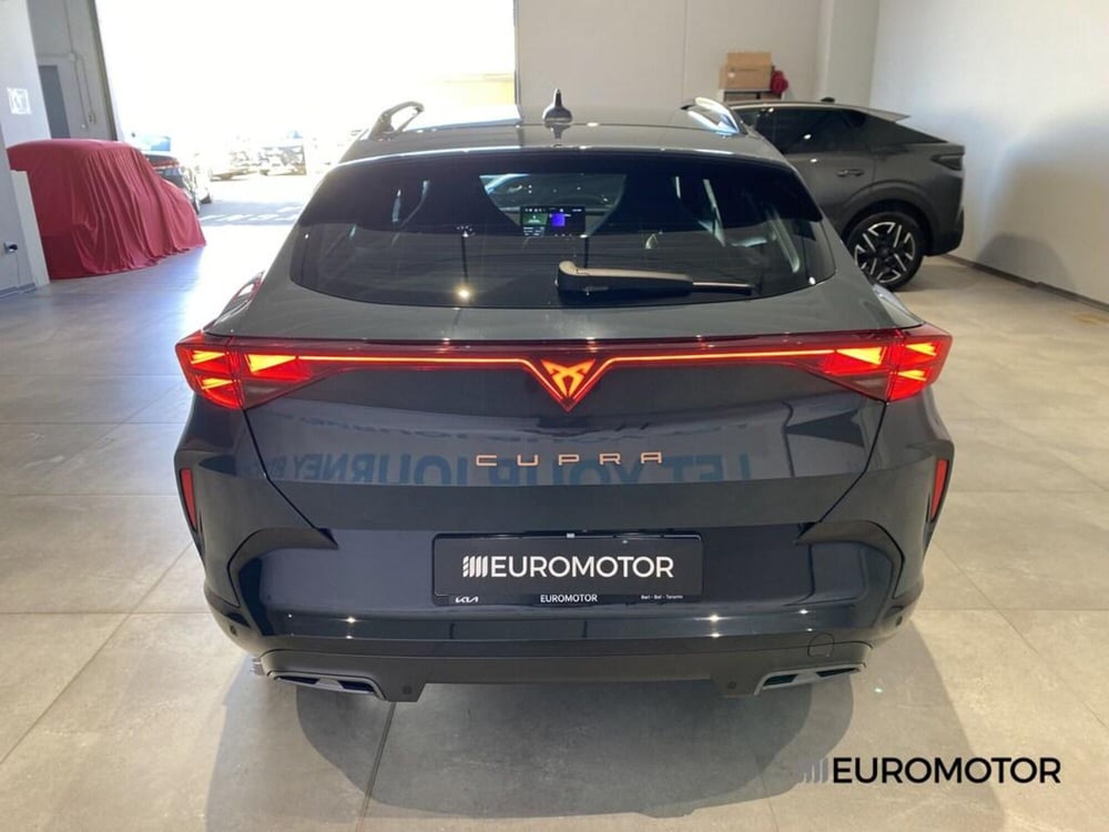 Cupra Formentor usata a Bari (10)
