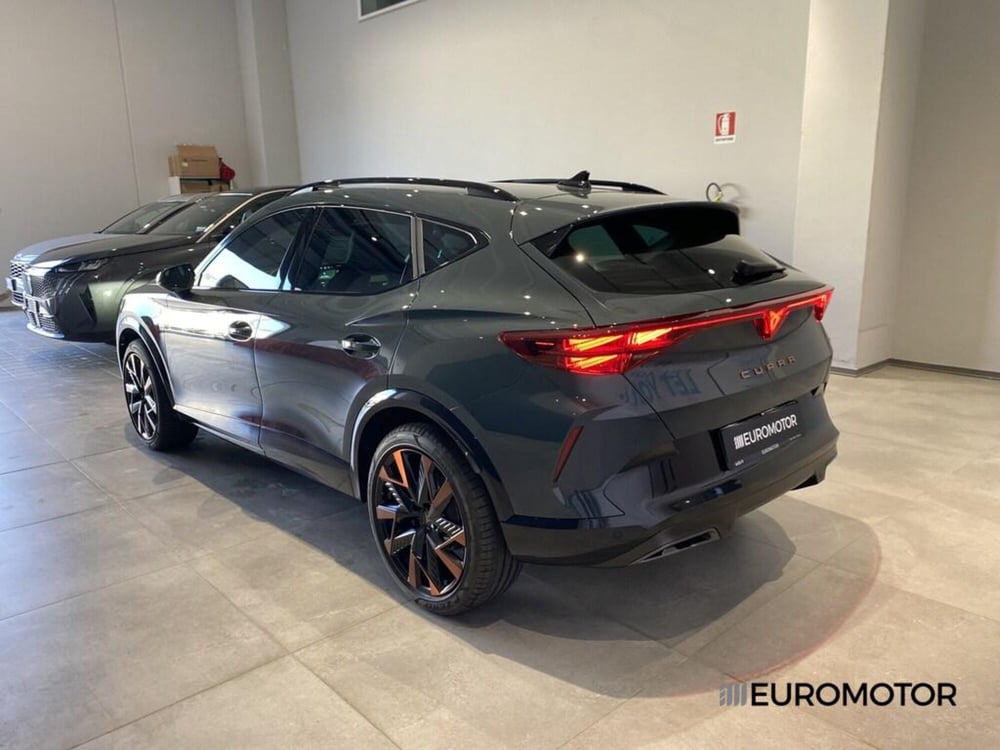 Cupra Formentor usata a Bari (11)