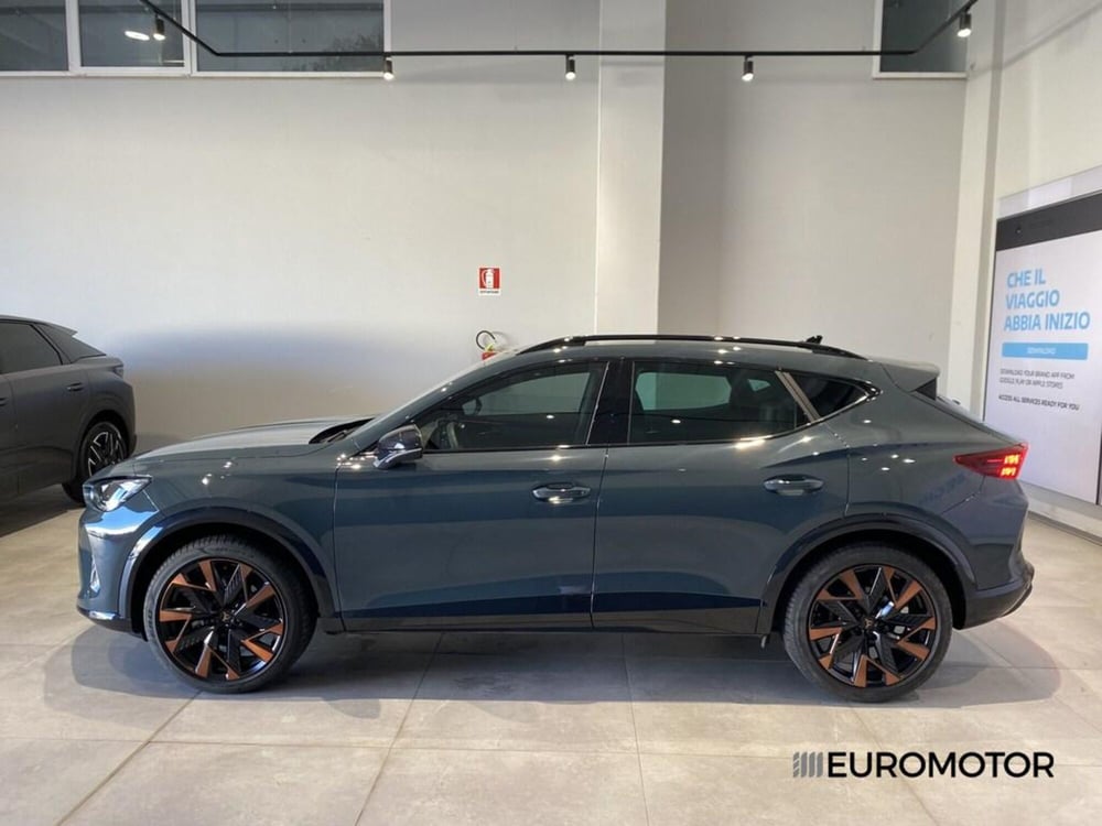 Cupra Formentor usata a Bari (13)