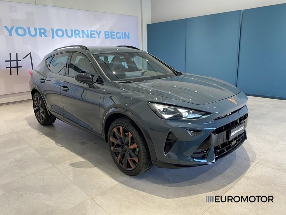 Cupra Formentor usata a Bari (3)