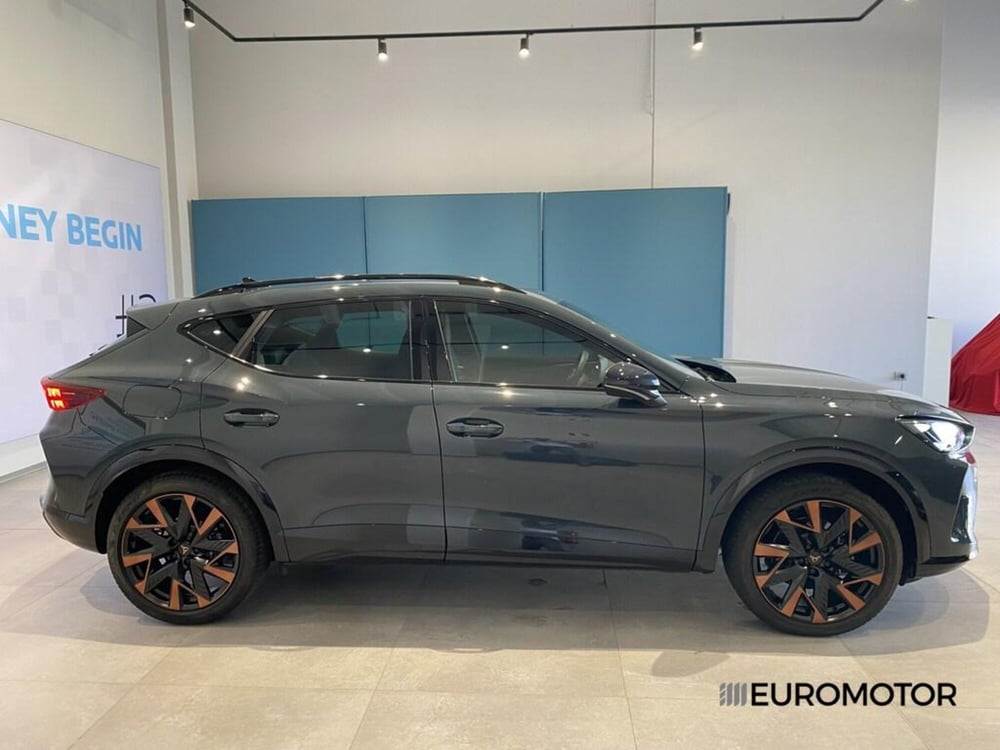 Cupra Formentor usata a Bari (8)