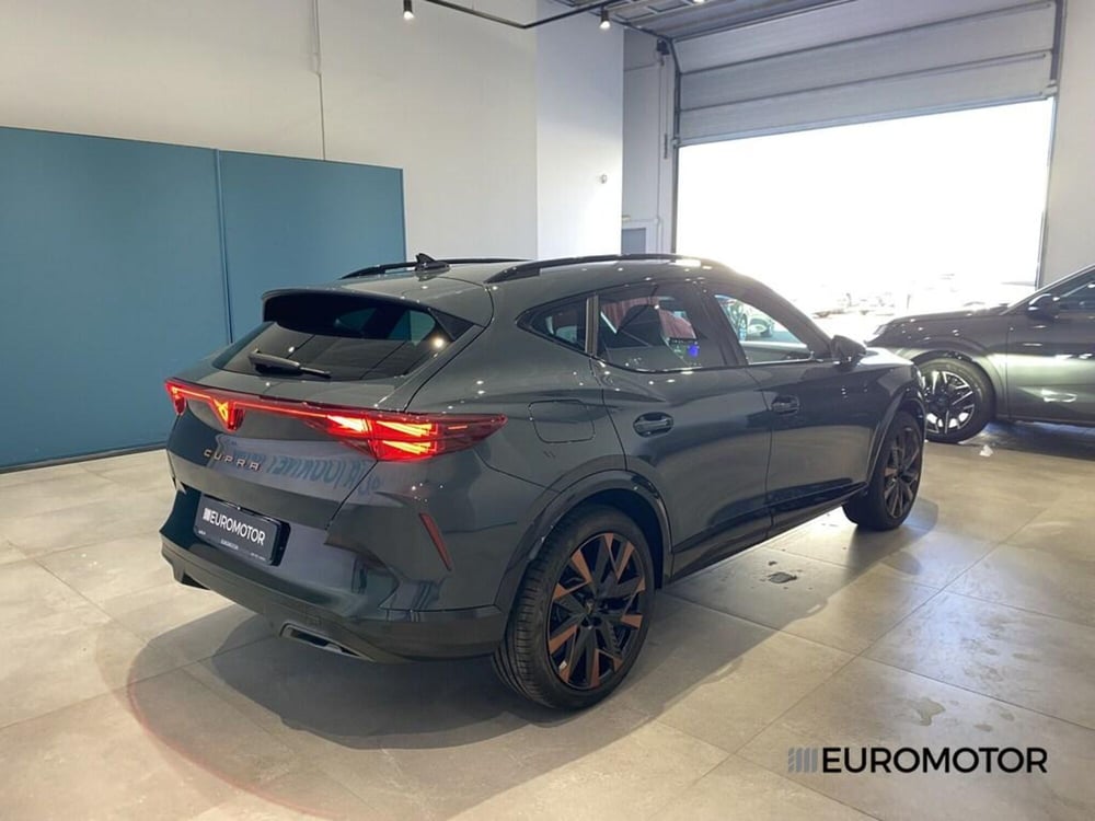 Cupra Formentor usata a Bari (9)