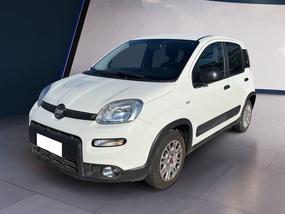 Fiat Panda usata a Torino (2)