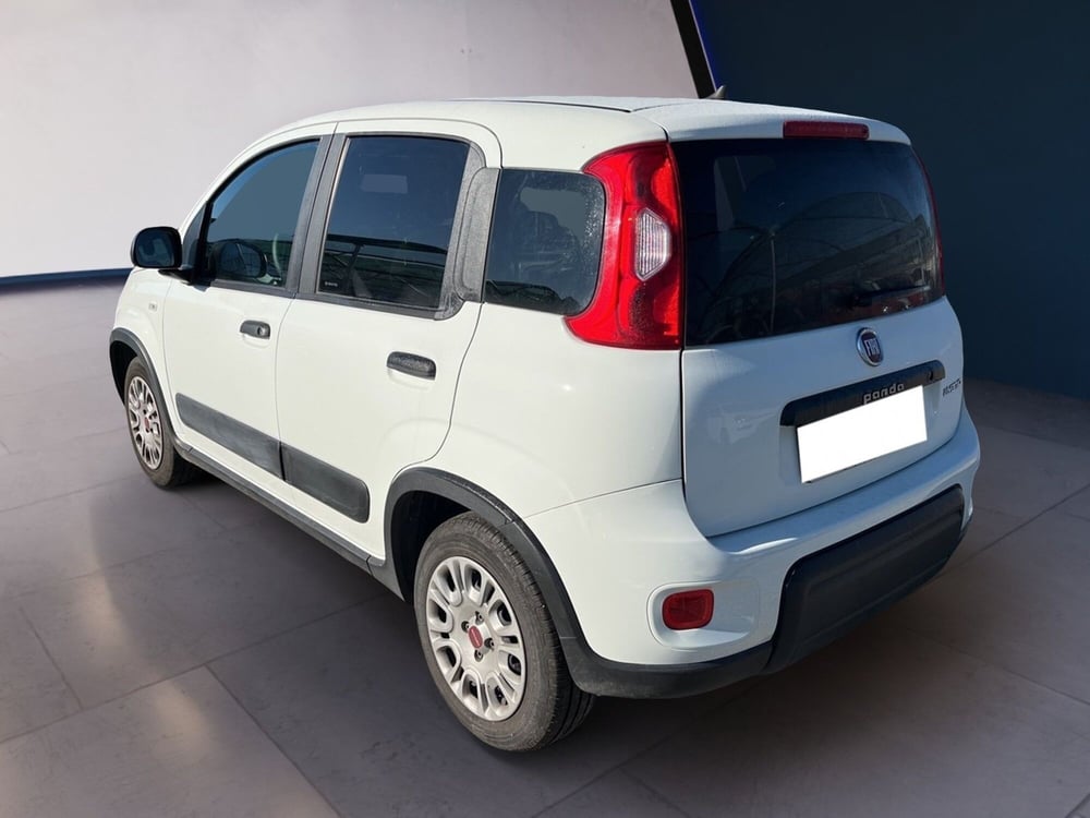 Fiat Panda usata a Torino (5)