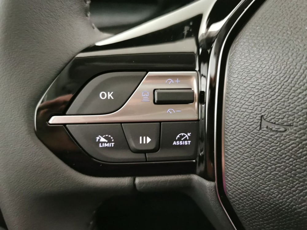 Peugeot 308 SW usata a Chieti (13)