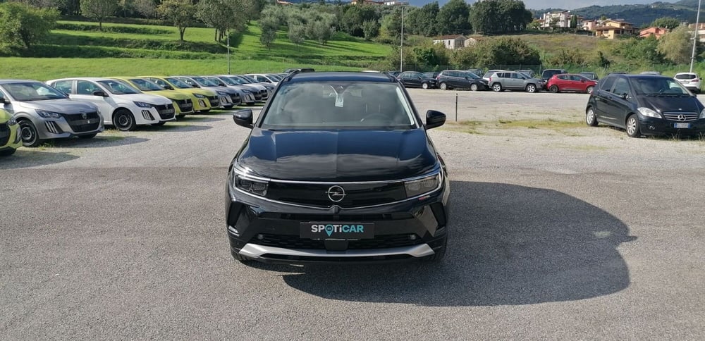 Opel Grandland usata a Pistoia (2)