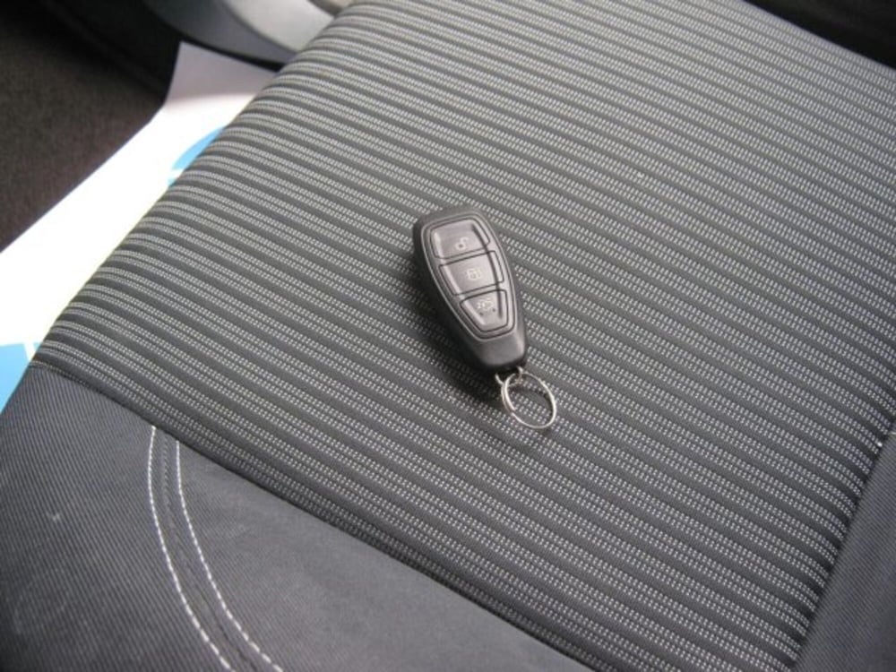 Ford C-Max usata a Fermo (16)