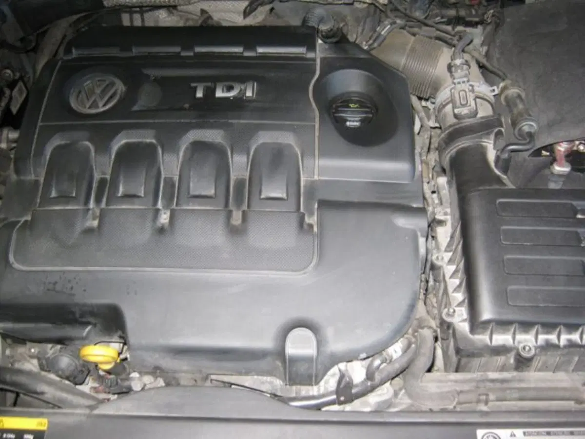 Volkswagen Golf usata a Fermo (18)