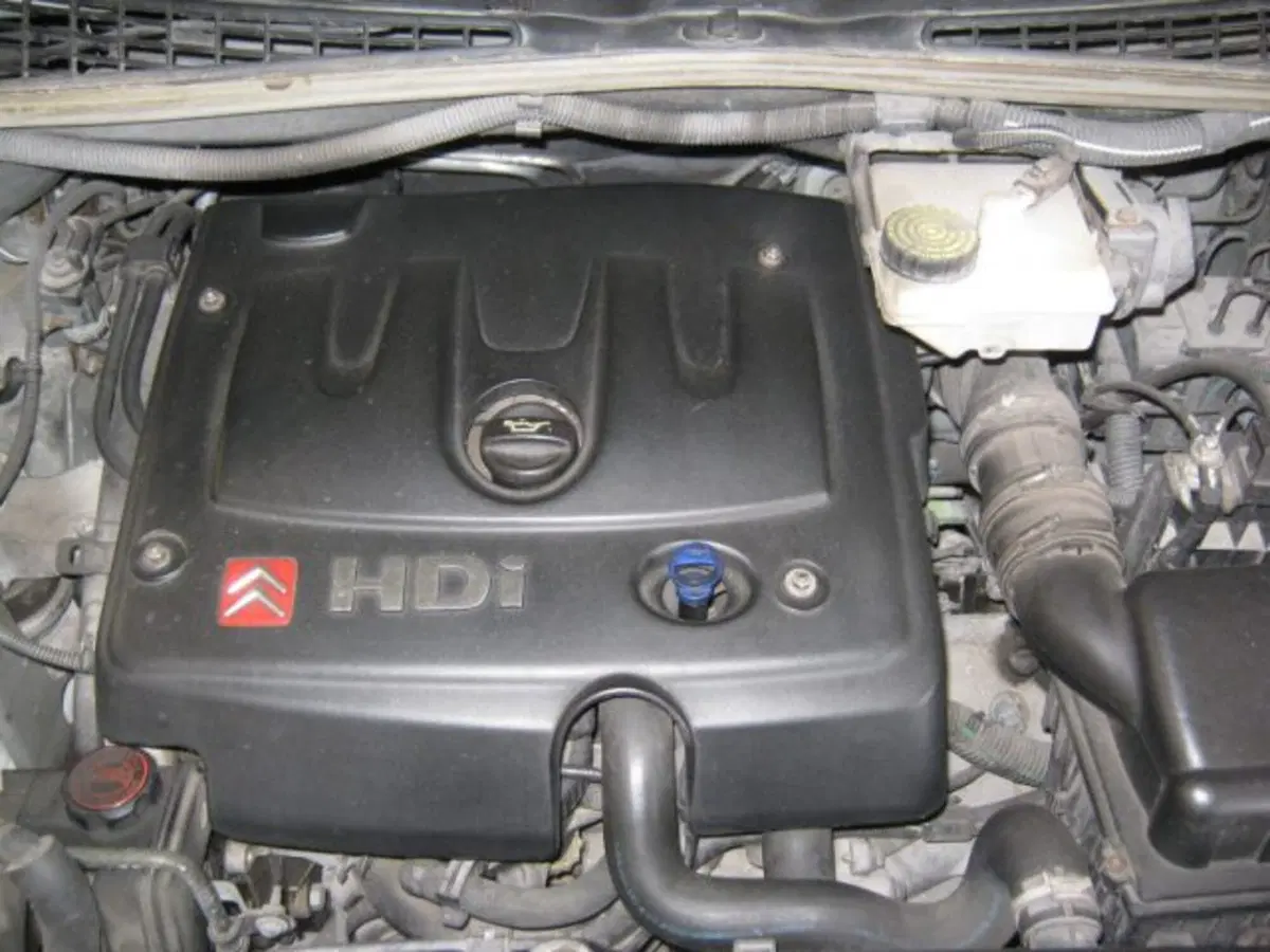 Citroen Xsara Picasso usata a Fermo (11)
