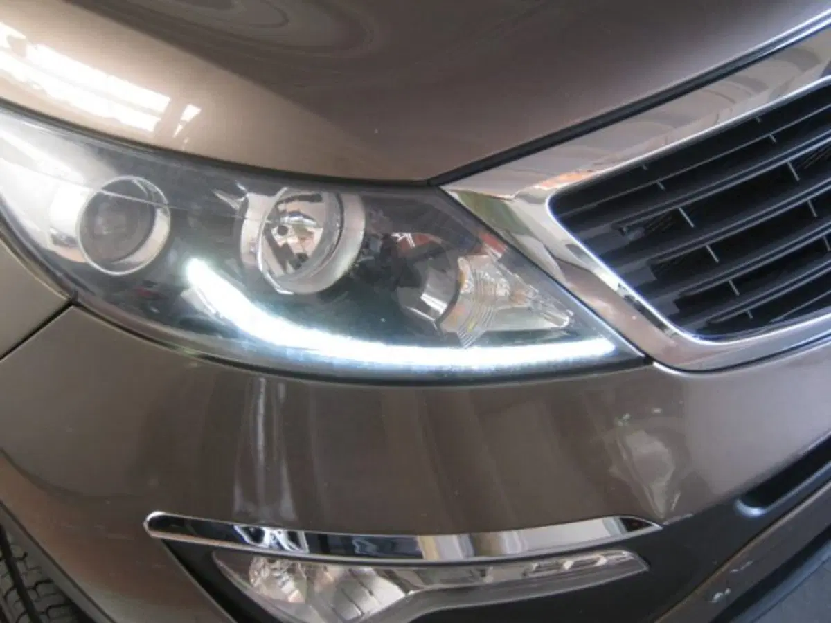 Kia Sportage usata a Fermo (19)