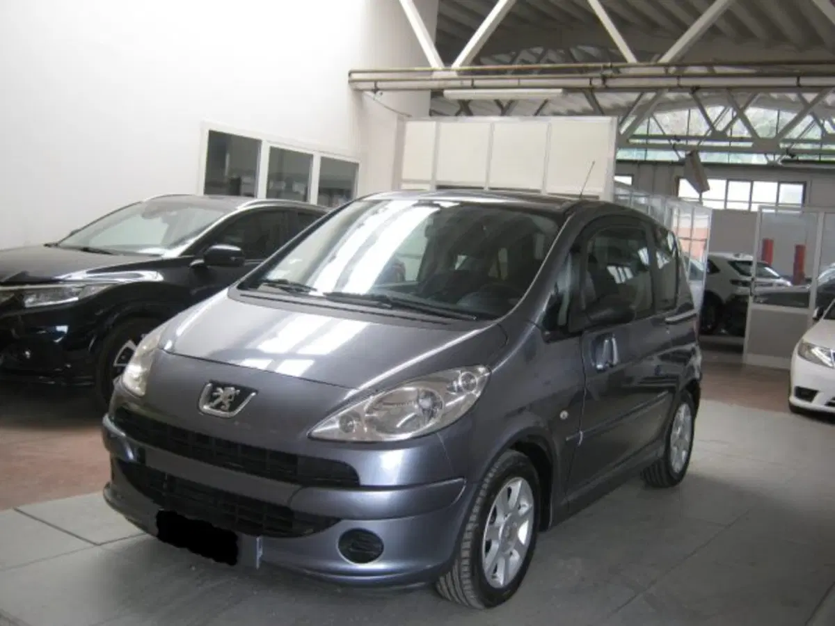 Peugeot 1007 usata a Fermo (3)