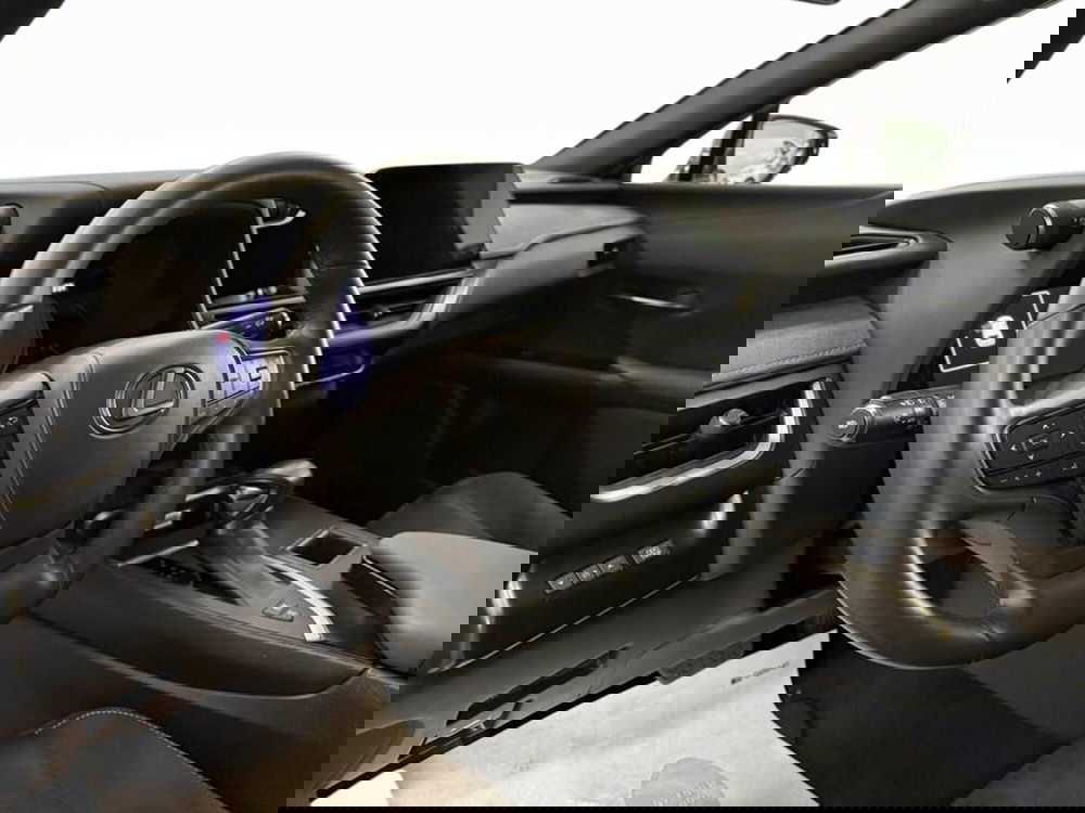 Lexus UX usata a Monza e Brianza (11)